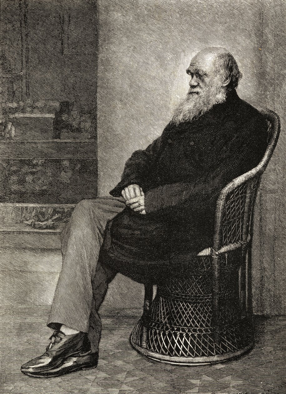 Charles Darwin, Illustration aus 