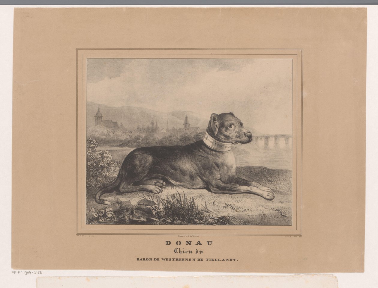 Hund Donau von Carel Christiaan Antony Last