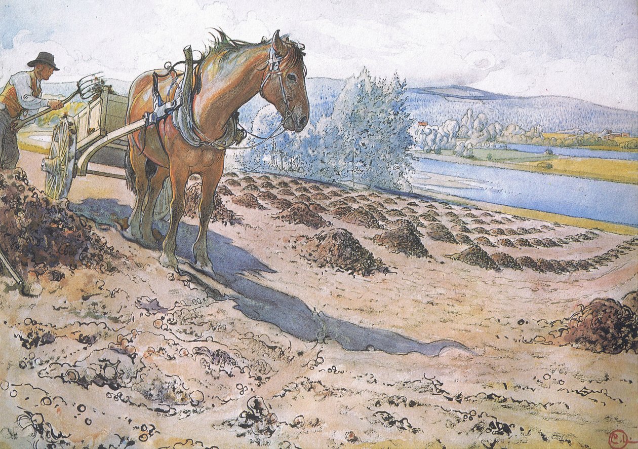 Mistverteilung auf einem brachliegenden Feld von Carl Larsson