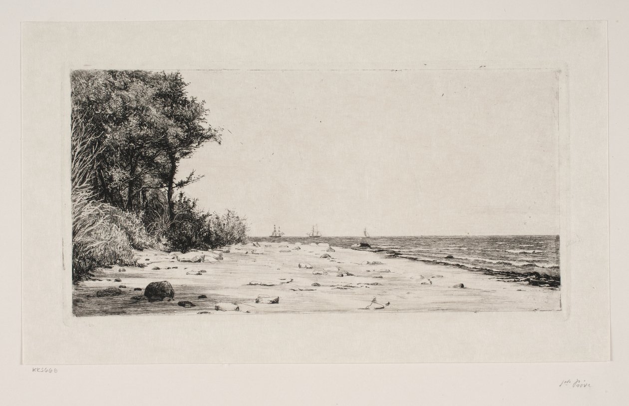 Von der Nordküste Seelands. Hornbækplantage von Carl Bloch