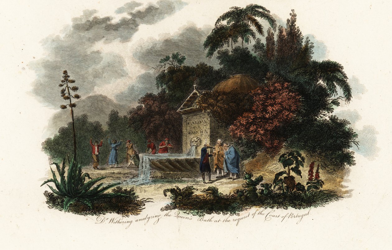 William Withering in Caldas da Rainha von Carl Frederik van (after) Breda