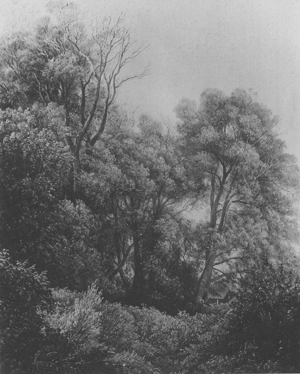Pillnitz auf der Elbinsel Carl Gustav Carus 1840 von Carl Gustav Carus