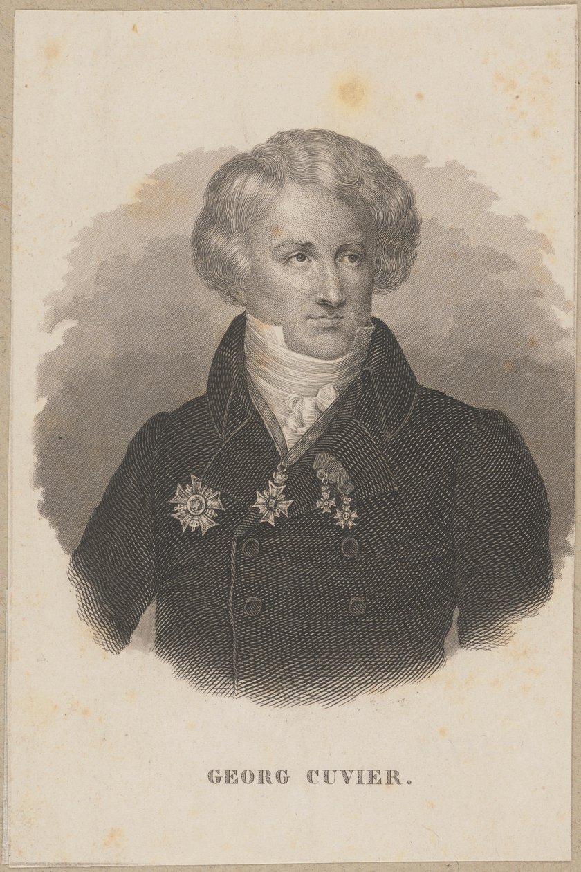 Georges Cuvier (1769 Montbéliard - 1832 Paris) - französischer Zoologe, Begründer der Paläontologie von Carl Mayer