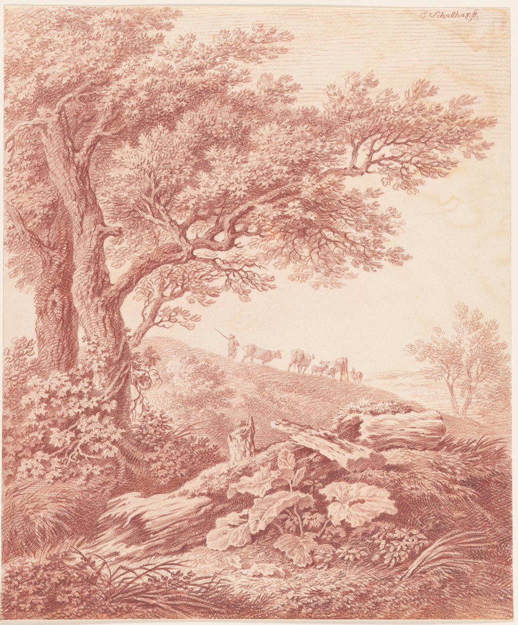 Alte Bäume in einer pastoralen Landschaft von Carl Philipp Schallhas