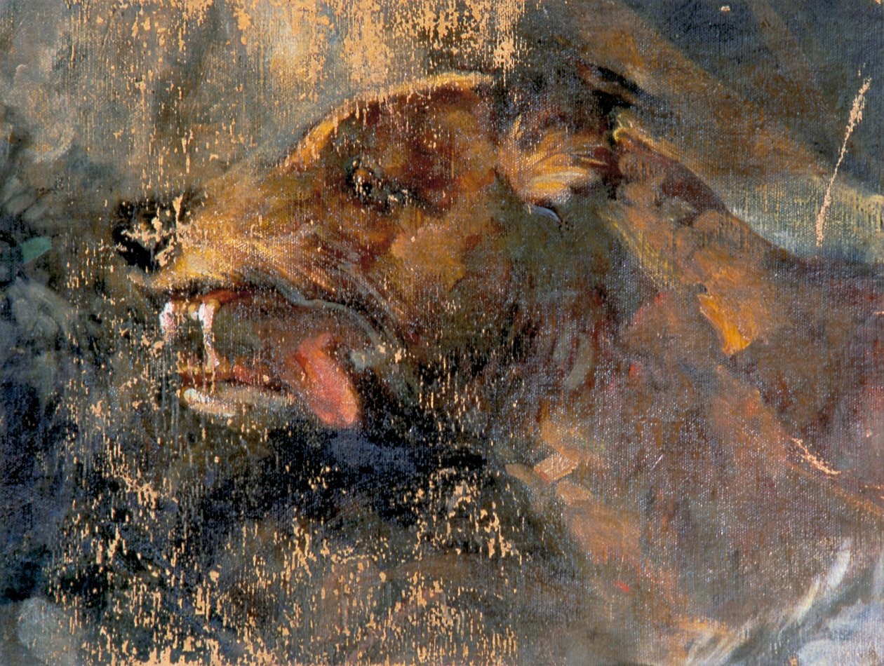 Hundekopf von Carl Rudolf Huber