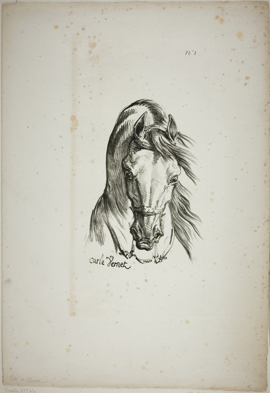 (Detail) Pferdekopf, vergrößert auf dreifache Größe, Normannische Königsgarde, Nr. 1 von Carle Vernet