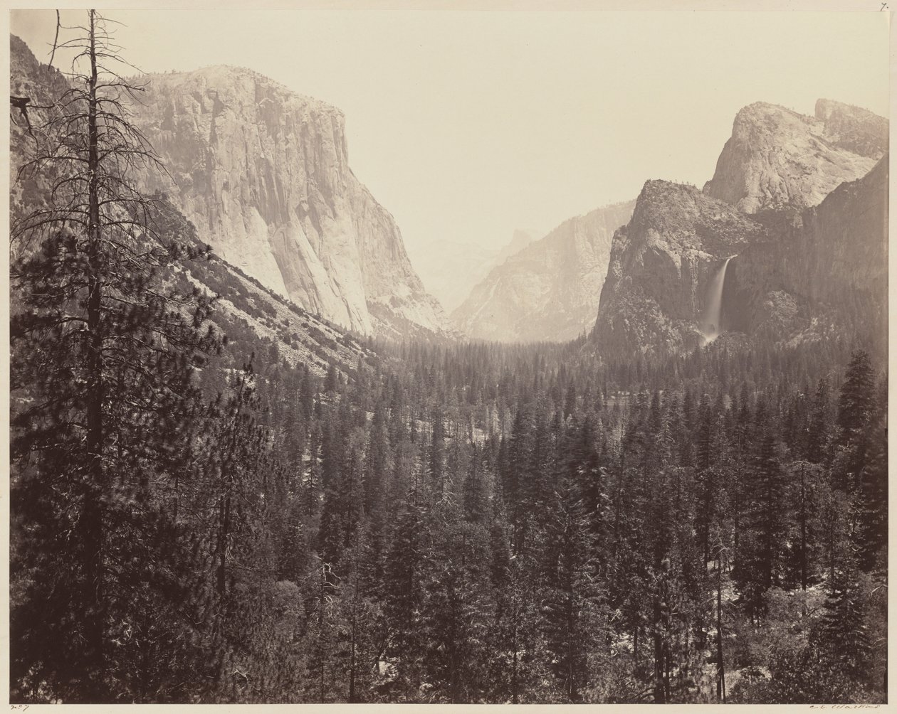Das Yosemite-Tal vom Mariposa-Pfad von Carleton E. Watkins