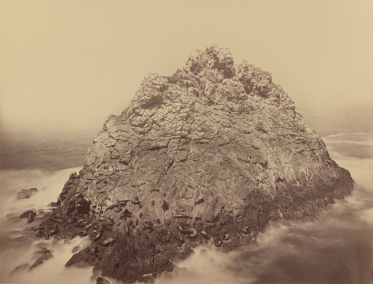 Zuckerhutinsel, Farallons, 1868/1869 von Carleton Emmons Watkins