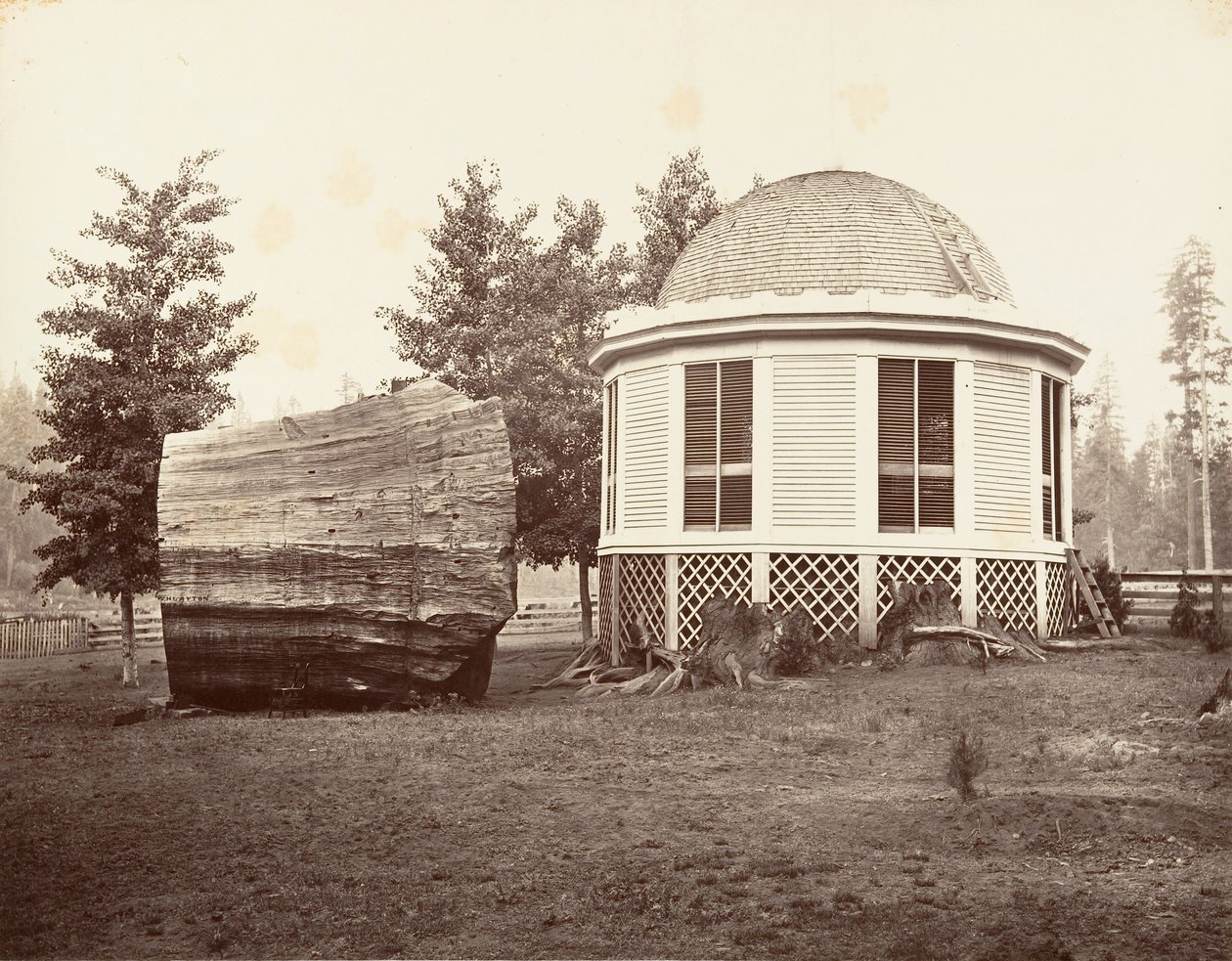 Das Haus über einem Baumstumpf von Carleton Emmons Watkins