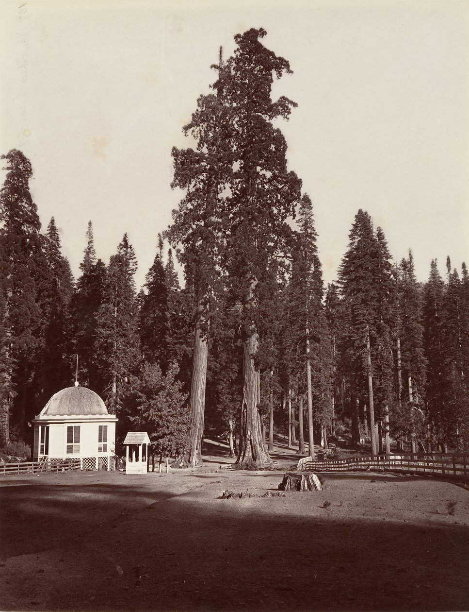 Der Wächter, 315 Fuß, 1865-66, gedruckt ca. 1876 von Carleton Emmons Watkins