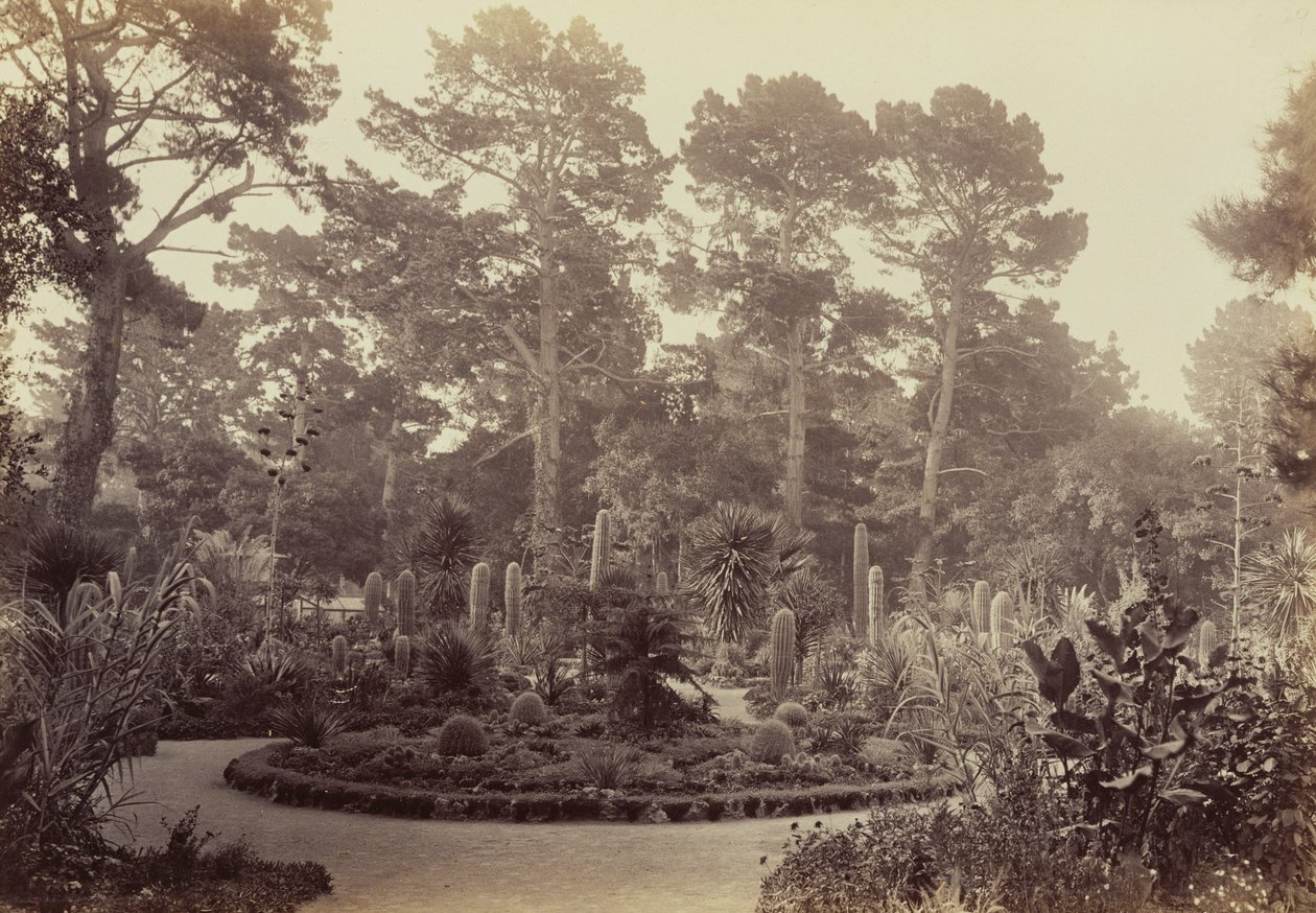 [Arizona-Garten, Hotel del Monte, Monterey] von Carleton Watkins