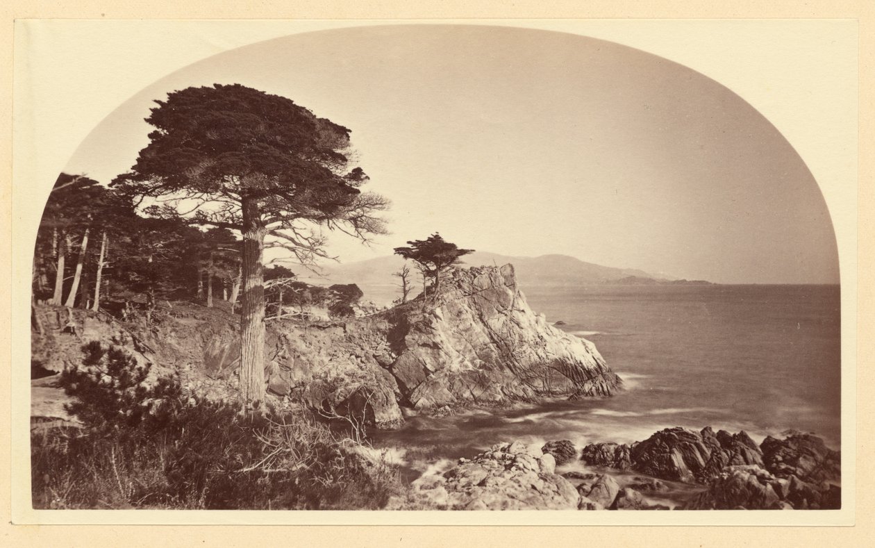 [Cypress Pt. von Cypress Drive, Monterey Cal.] von Carleton Watkins