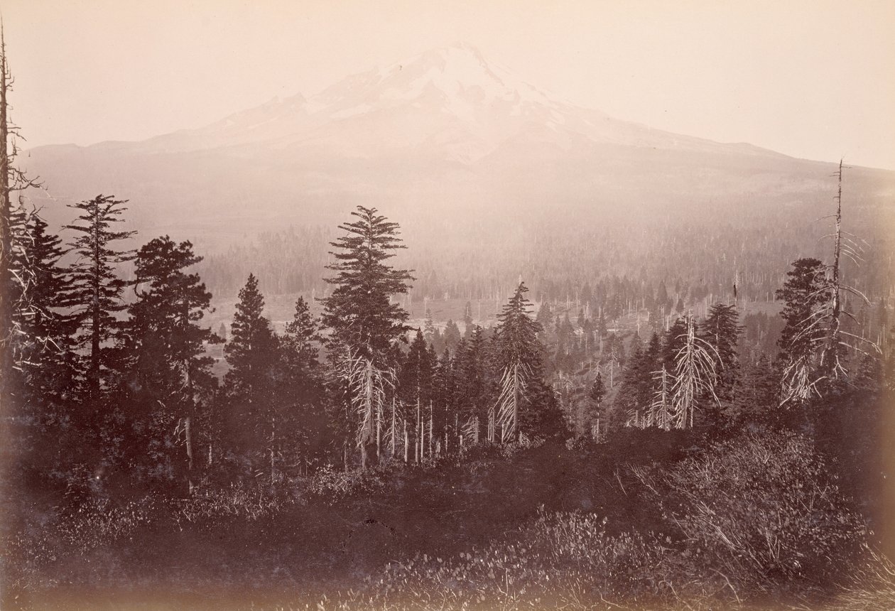[Mount Shasta] von Carleton Watkins