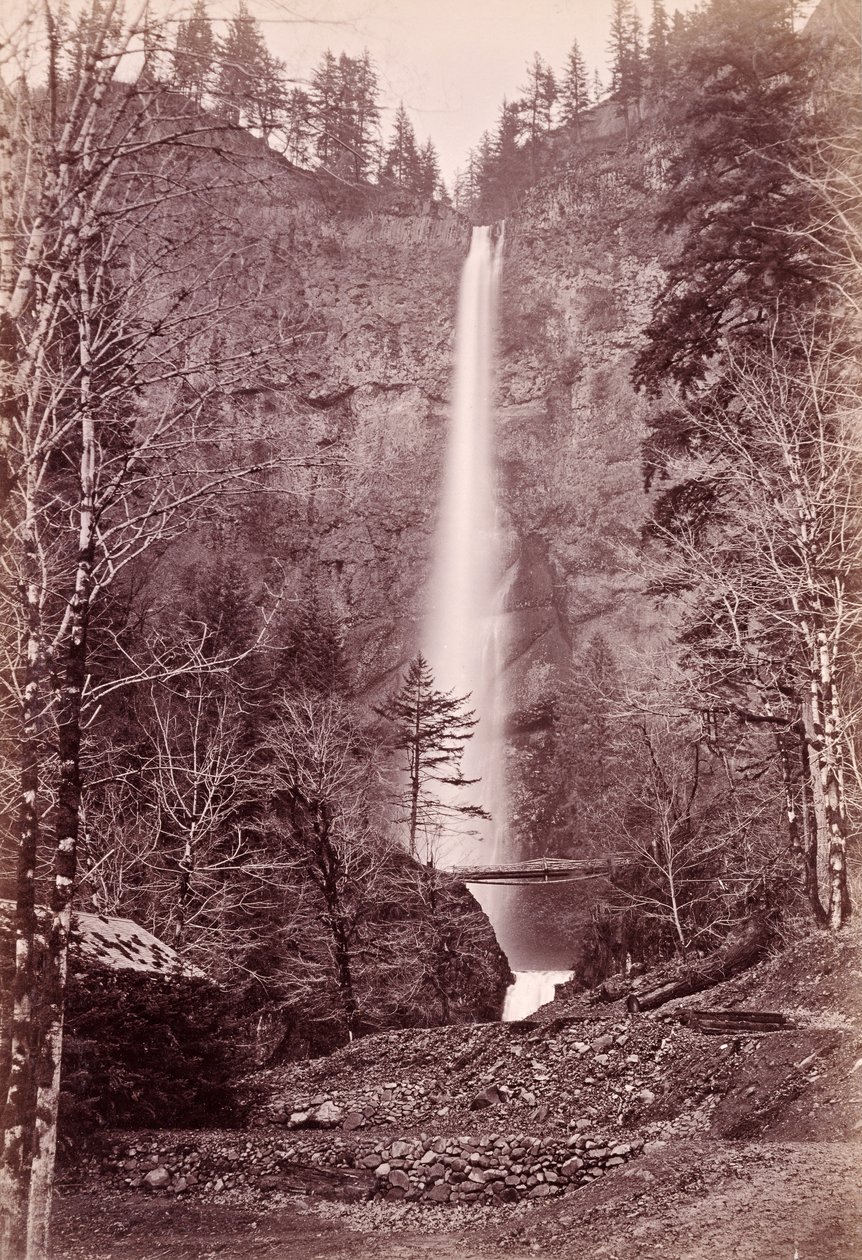 [Multnomah Falls, 700 ft., [Oregon]] von Carleton Watkins