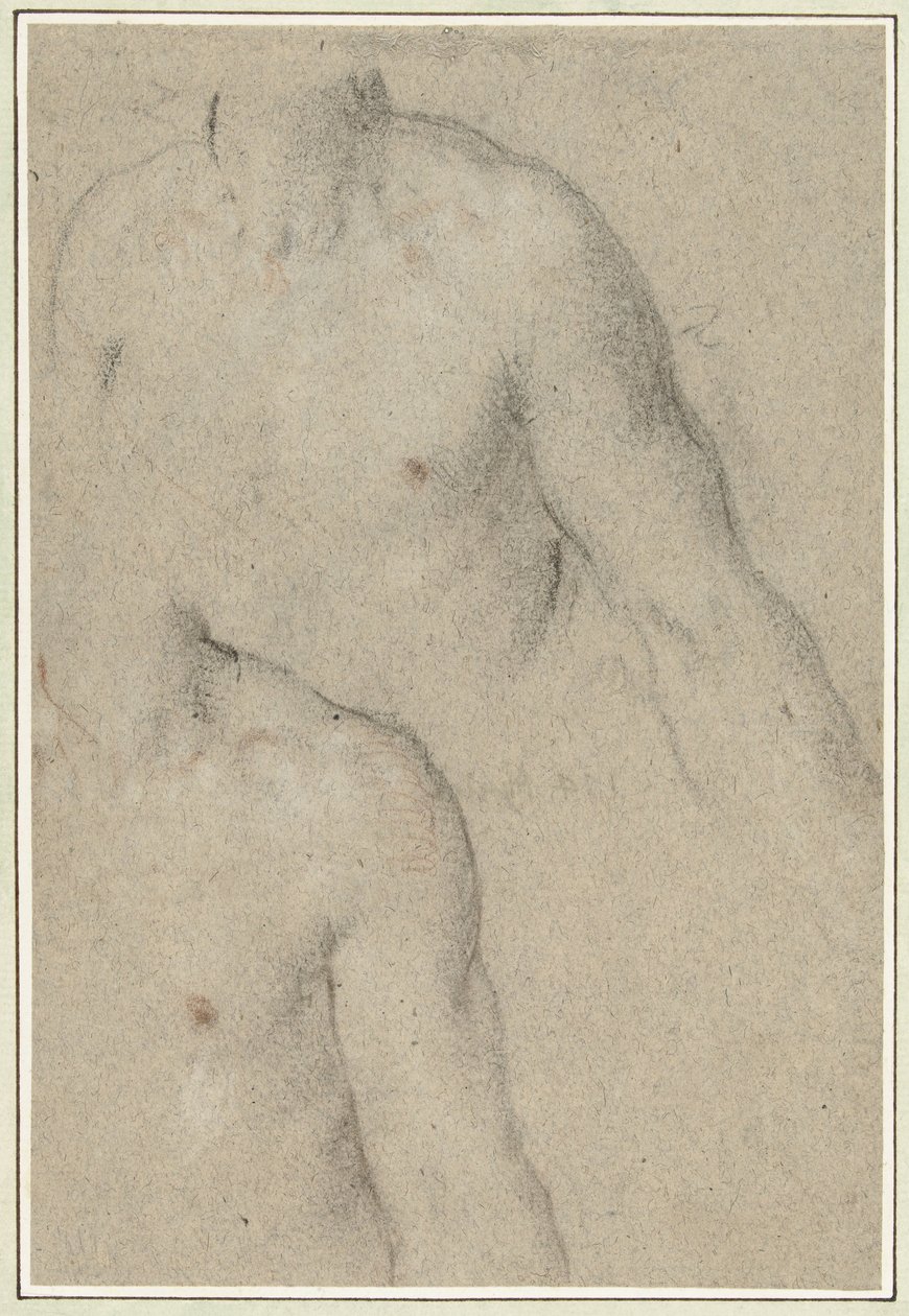Zwei Studien des Torsos eines jungen Mannes von Carlo Caliari