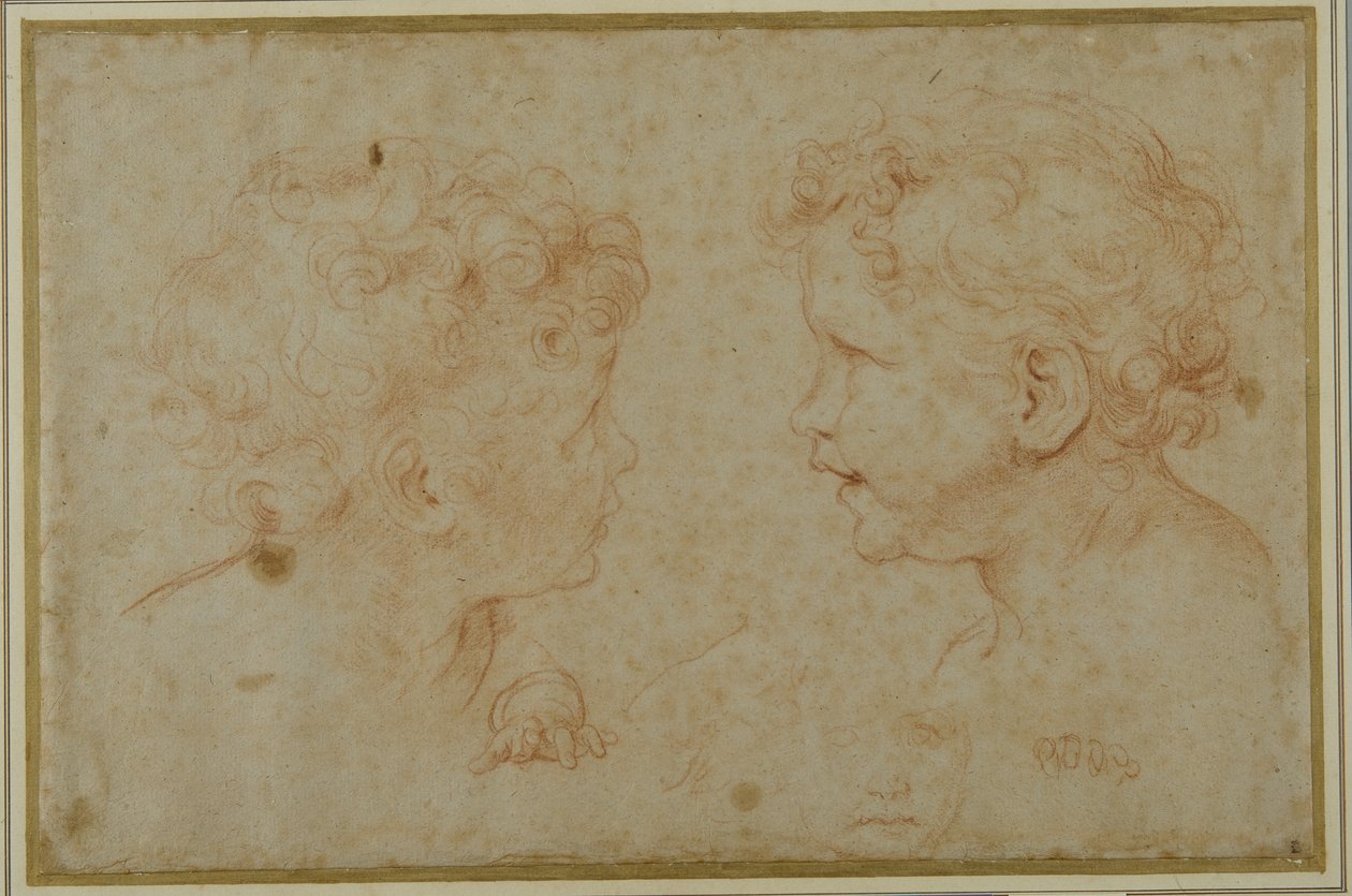 Studien des Kopfes und der linken Hand eines Putto