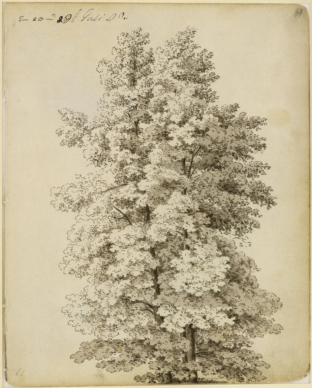 Baumgruppe von Caspar David Friedrich