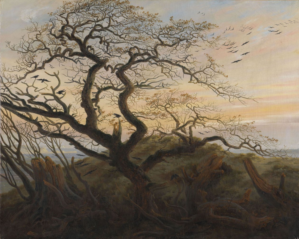 Der Baum der Krähen von Caspar David Friedrich