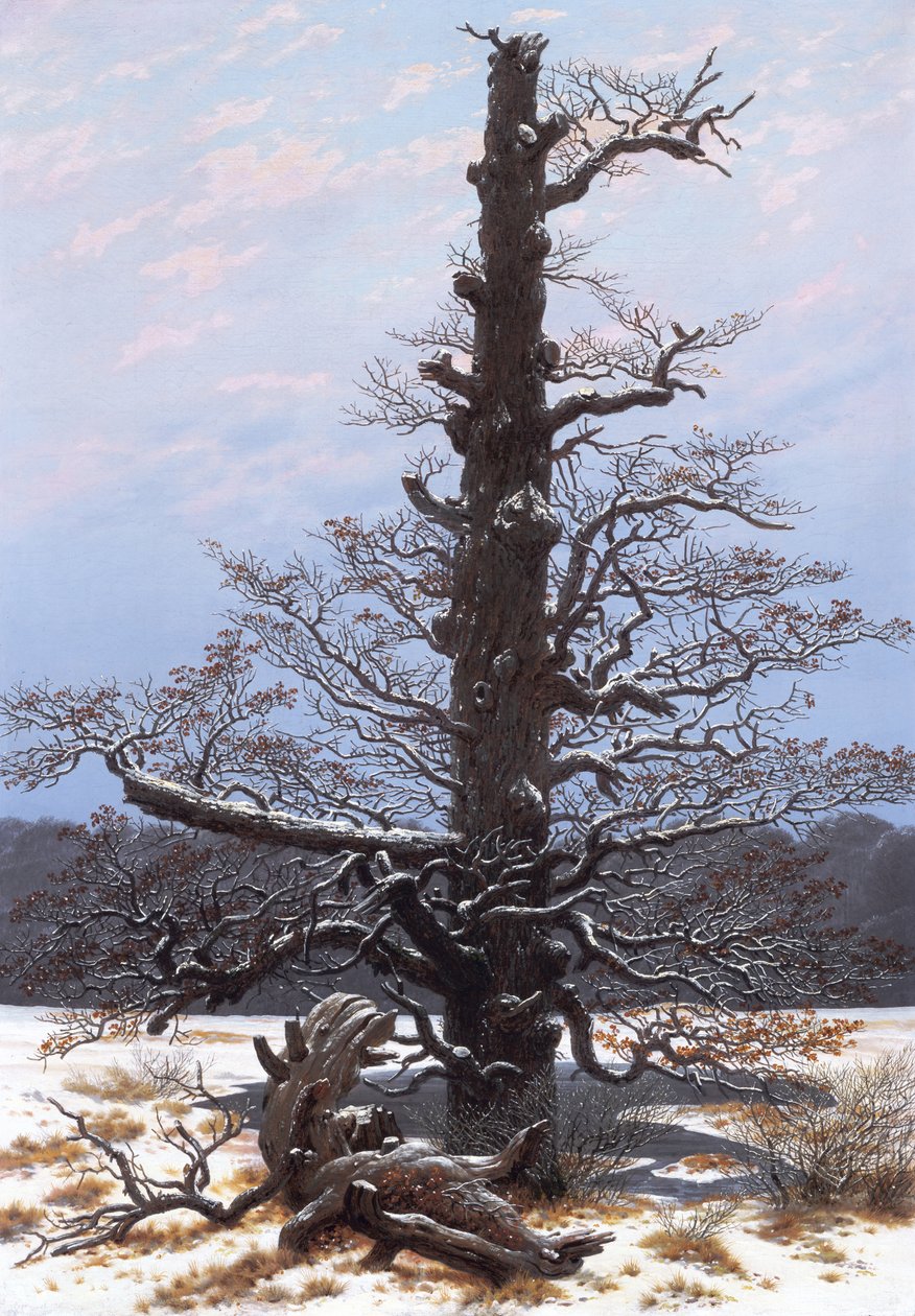 Winterlandschaft (Kahler Baum) von Caspar David Friedrich
