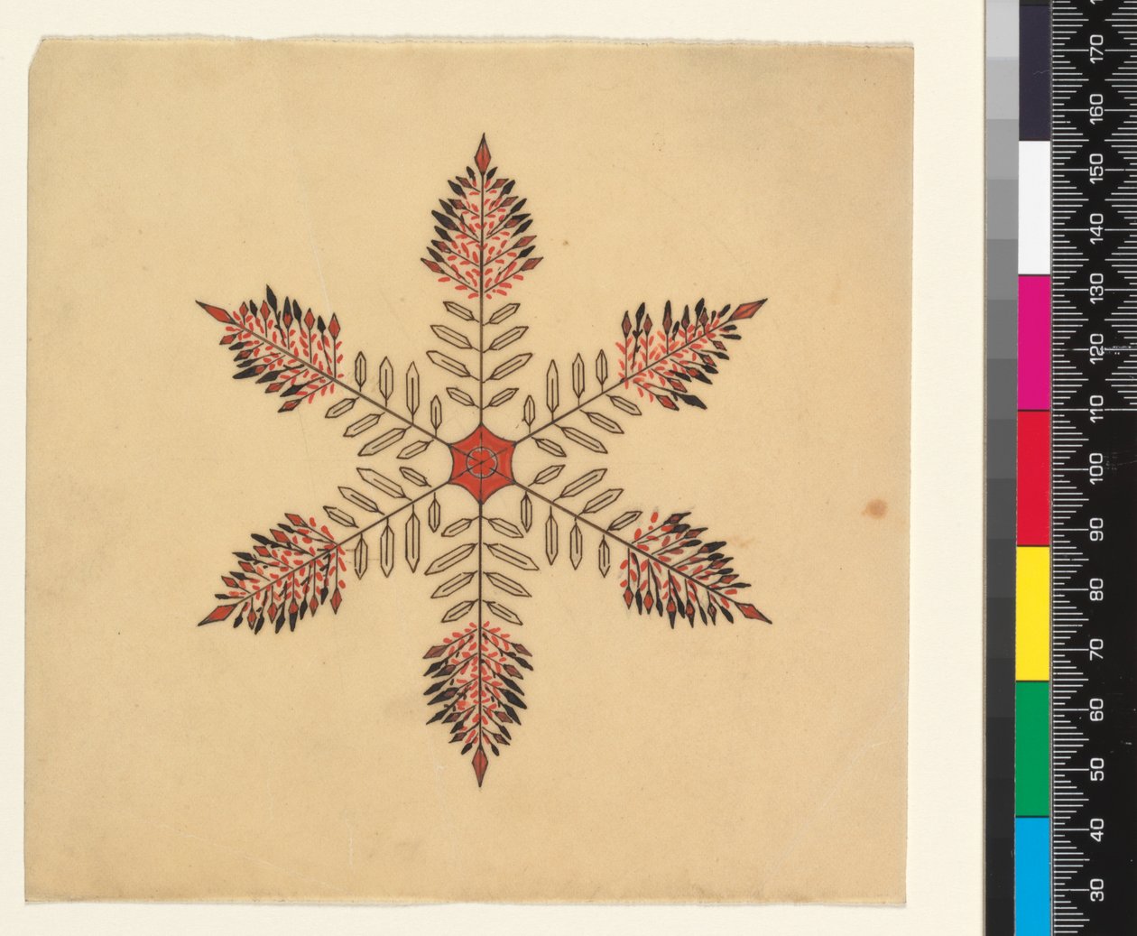 Schneekristalle von Cecilia Glaisher