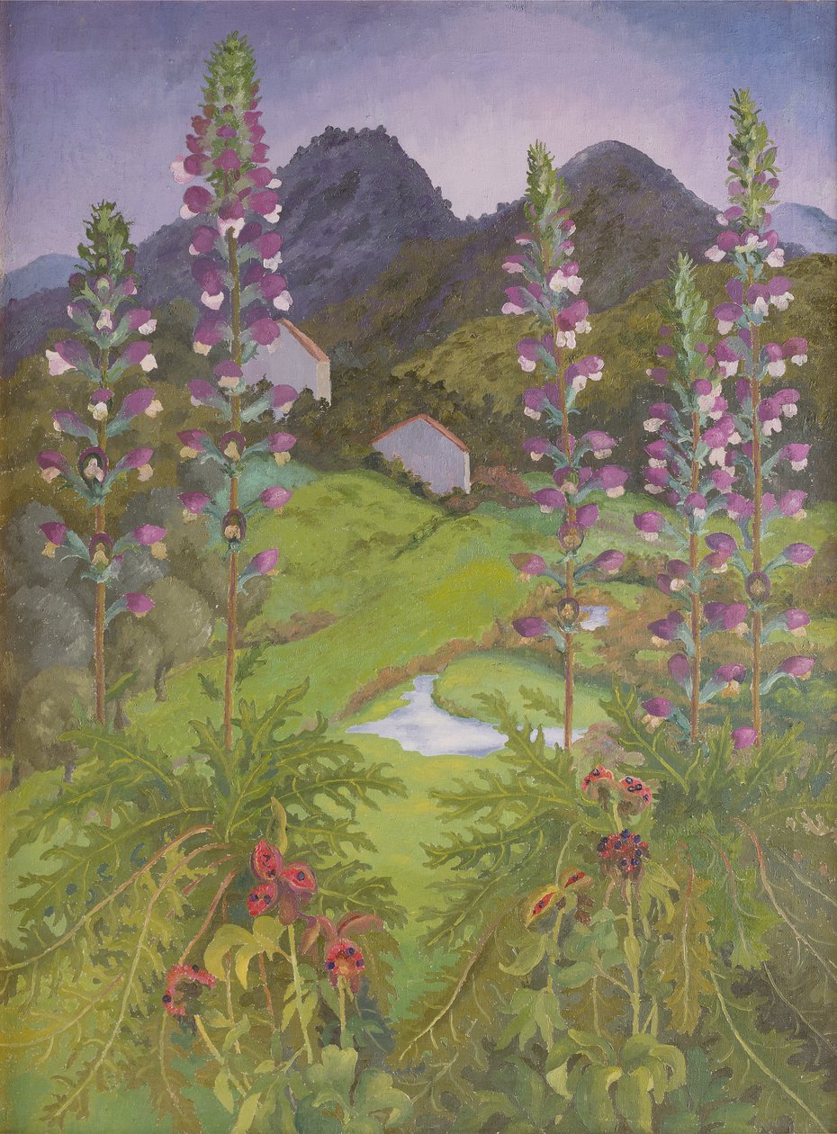 Akanthus von Cedric Morris