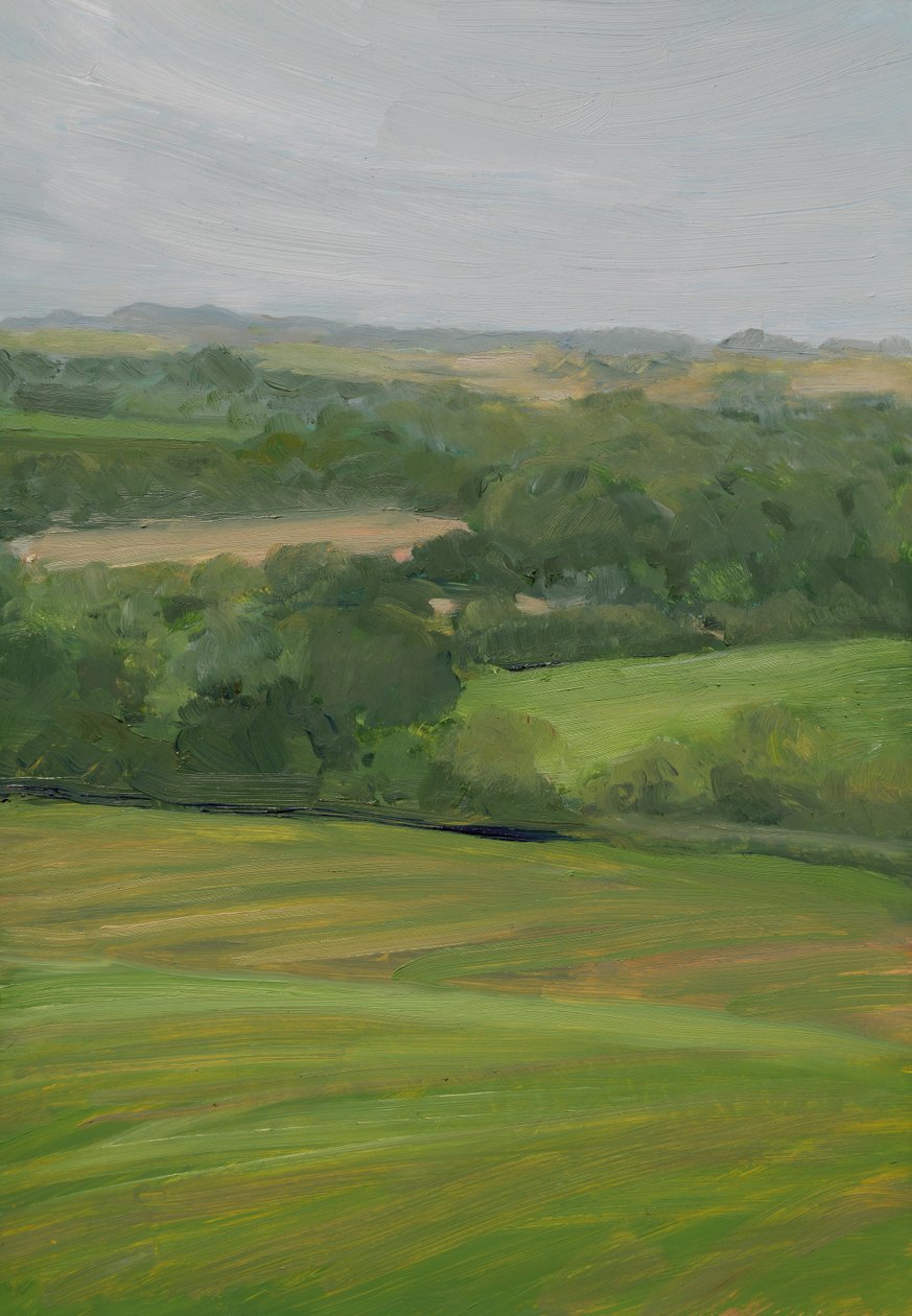 Regen, Cornbury Park, Cotswolds von Celia Montague
