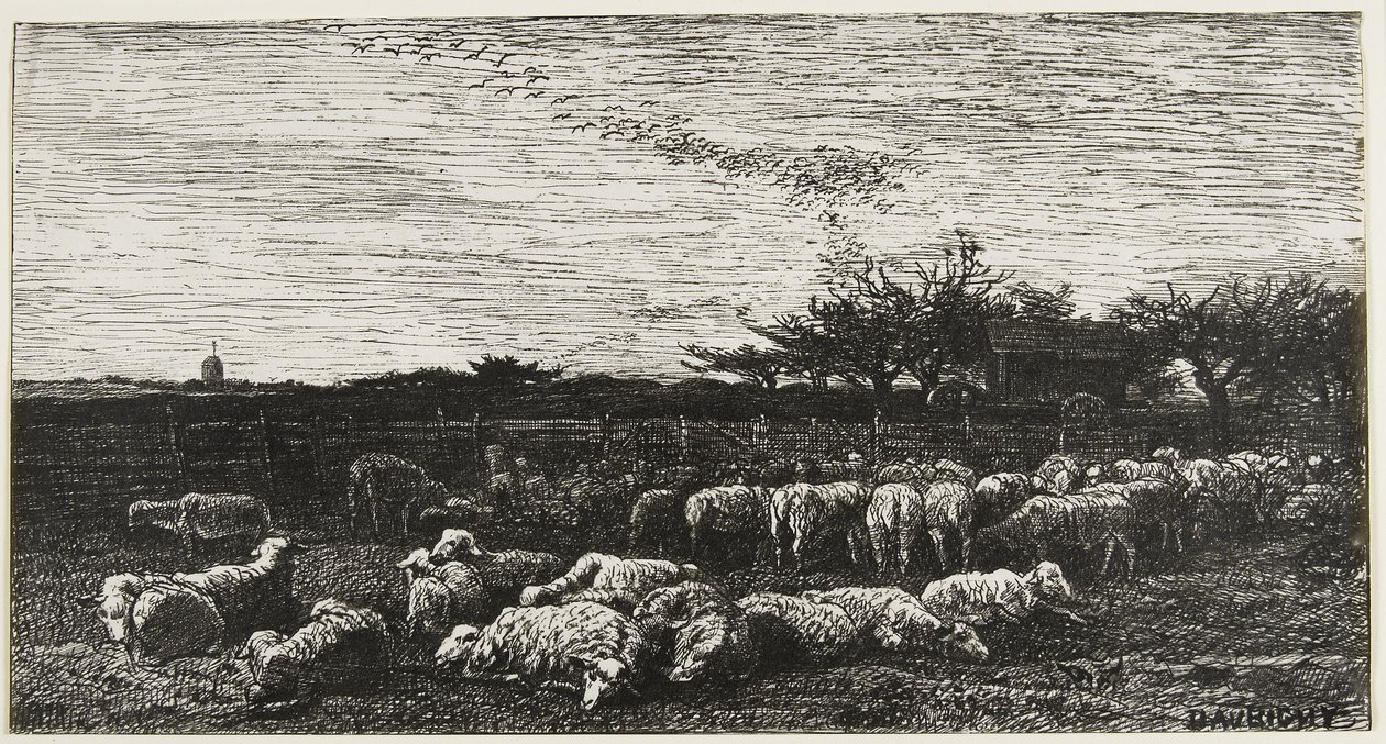 Le Grand Parc a Moutons, 1862 von Charles Francois Daubigny