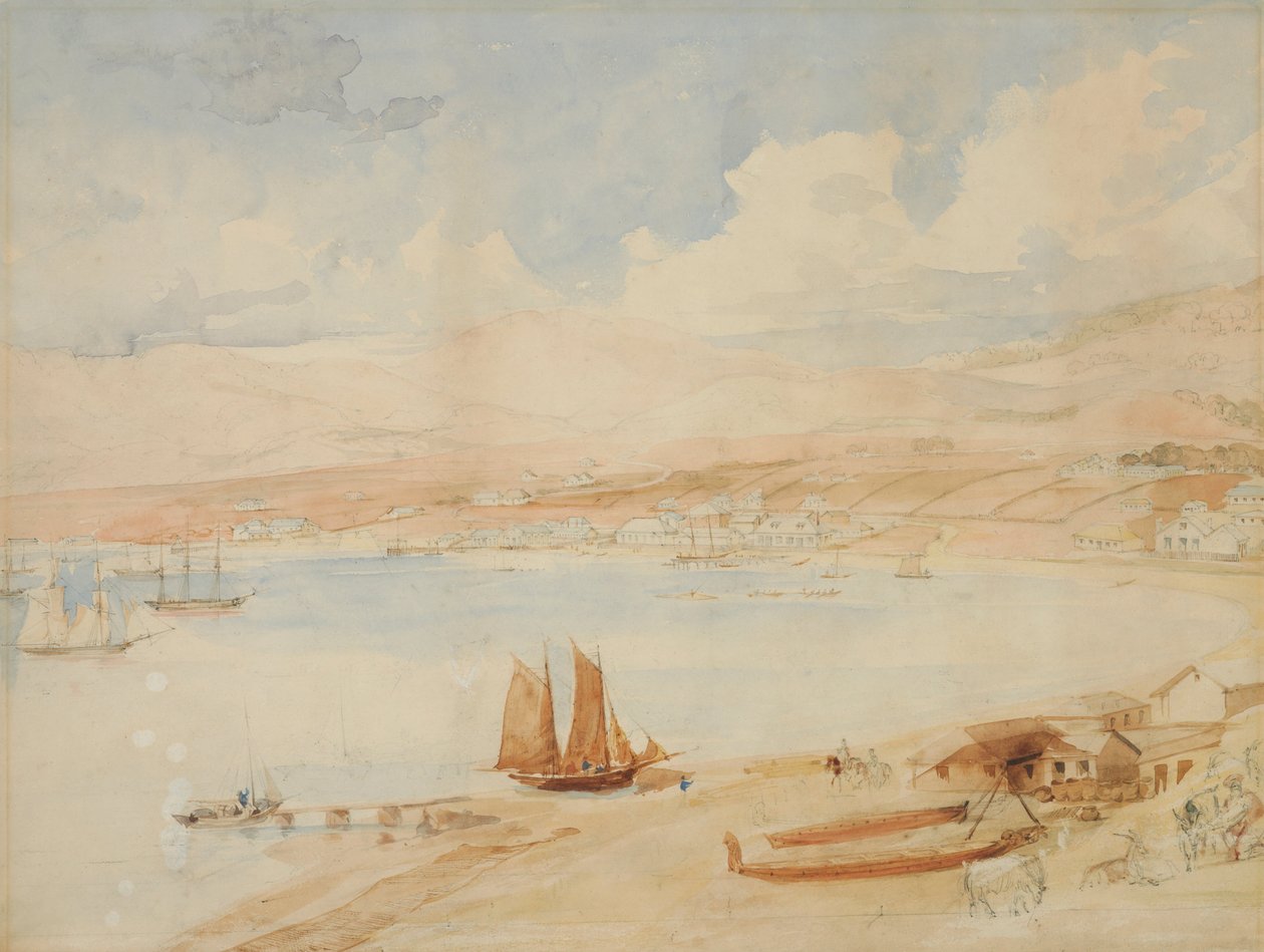 Wellington Harbour, Neuseeland von Charles Heaphy
