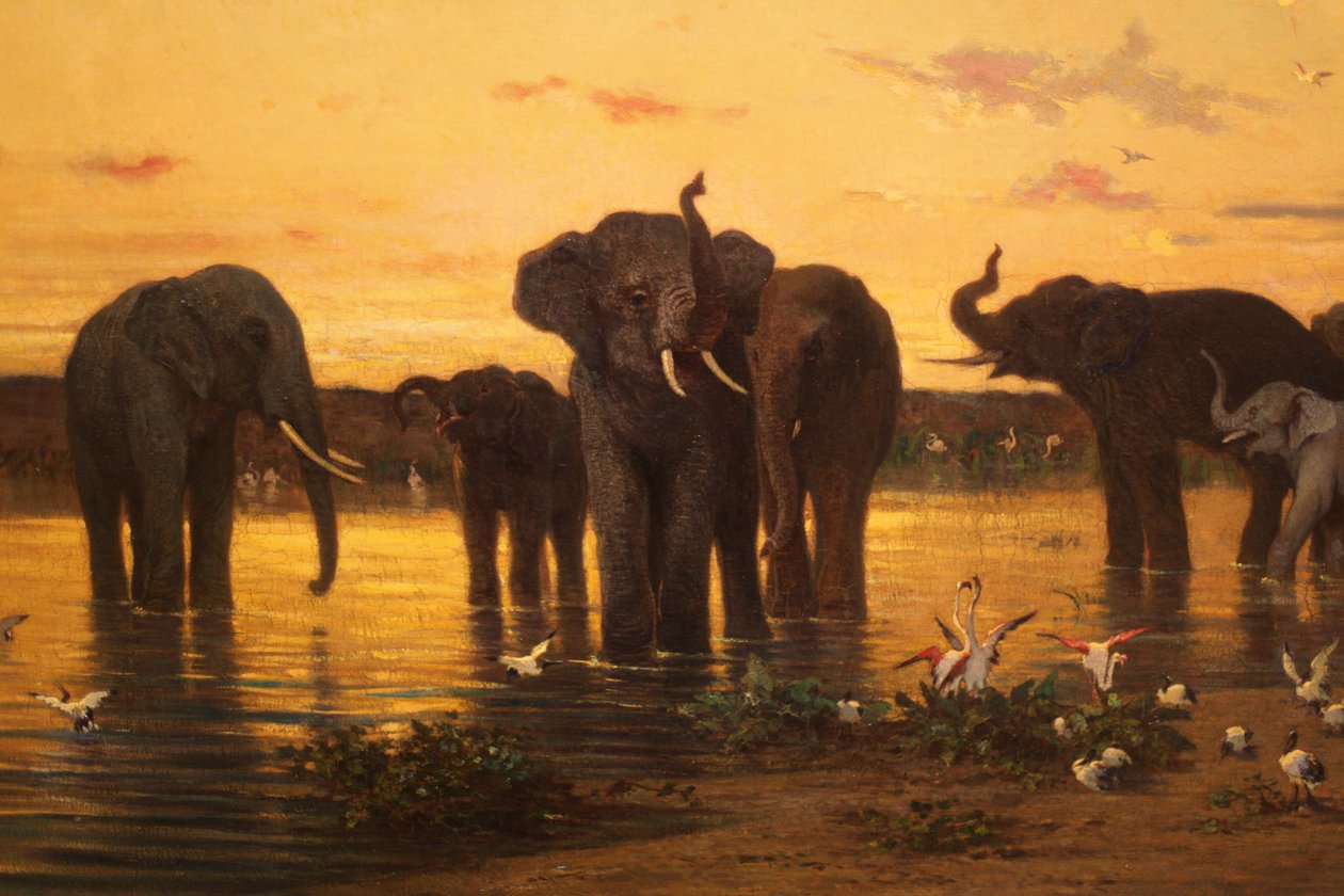 Afrikanische Elefanten von Charles Émile de Tournemine