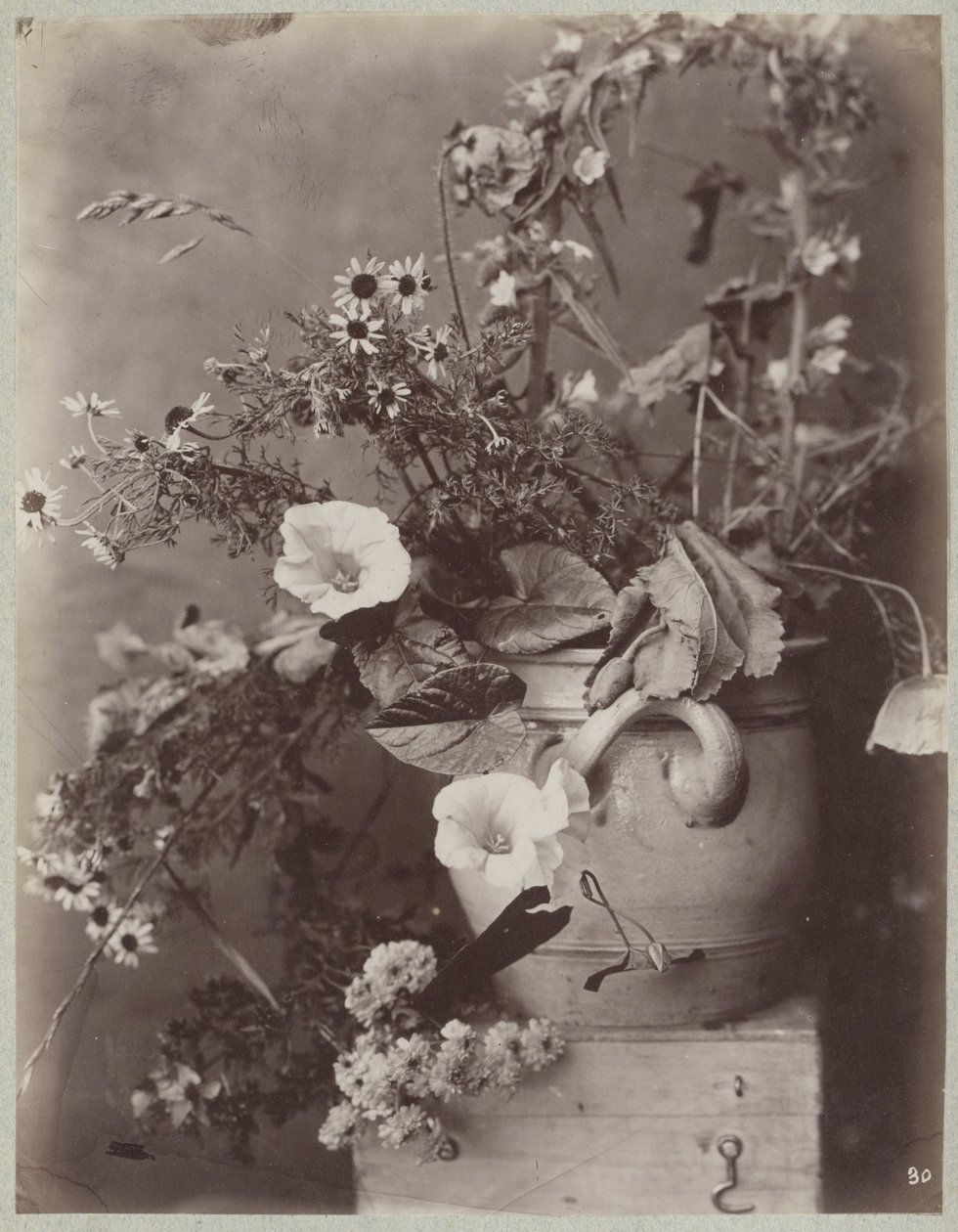 Blumenstudie mit Kölner Topf auf Kiste von Charles Aubry (manner of)