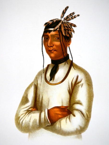 Caatousee vom Chippewa-Stamm (Farblithografie) von Charles Bird King