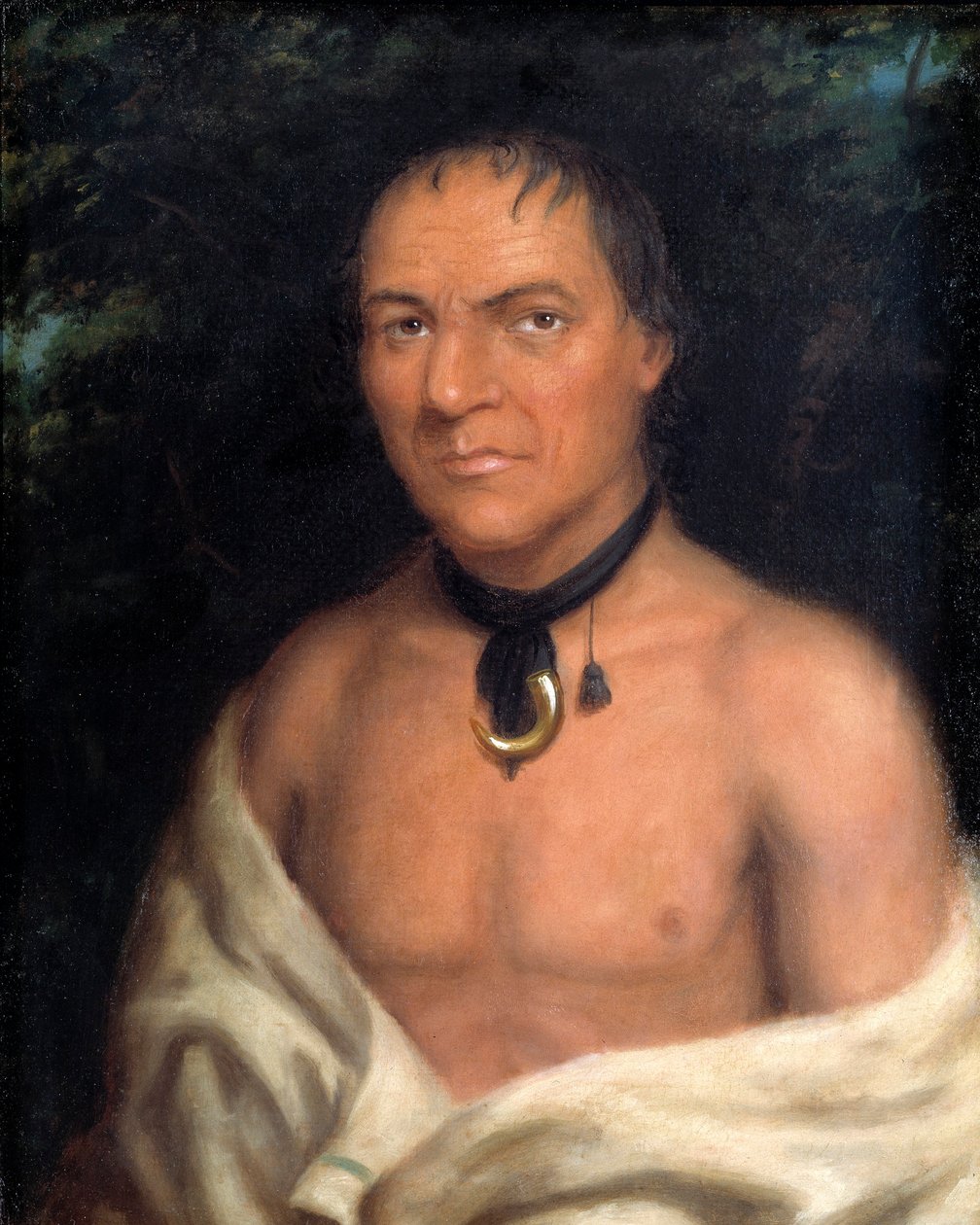 Co-sne-boin von Charles Bird King