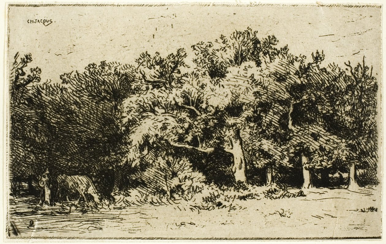Ein Teil des Waldes von Fontainebleau von Charles Emile Jacque