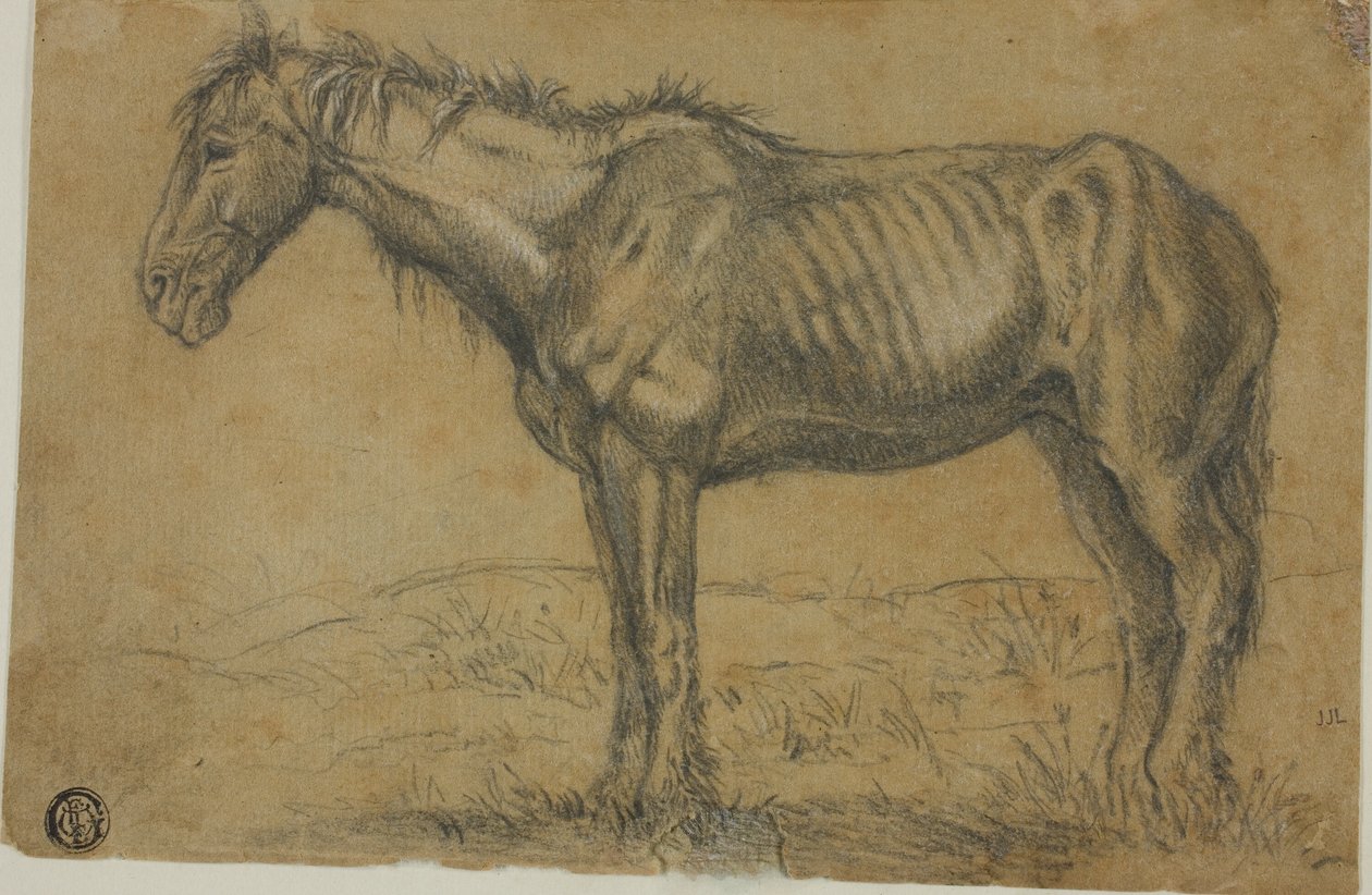 Abgemagertes Pferd (recto); Frontalansicht eines Pferdes (verso) von Charles Emile Jacque