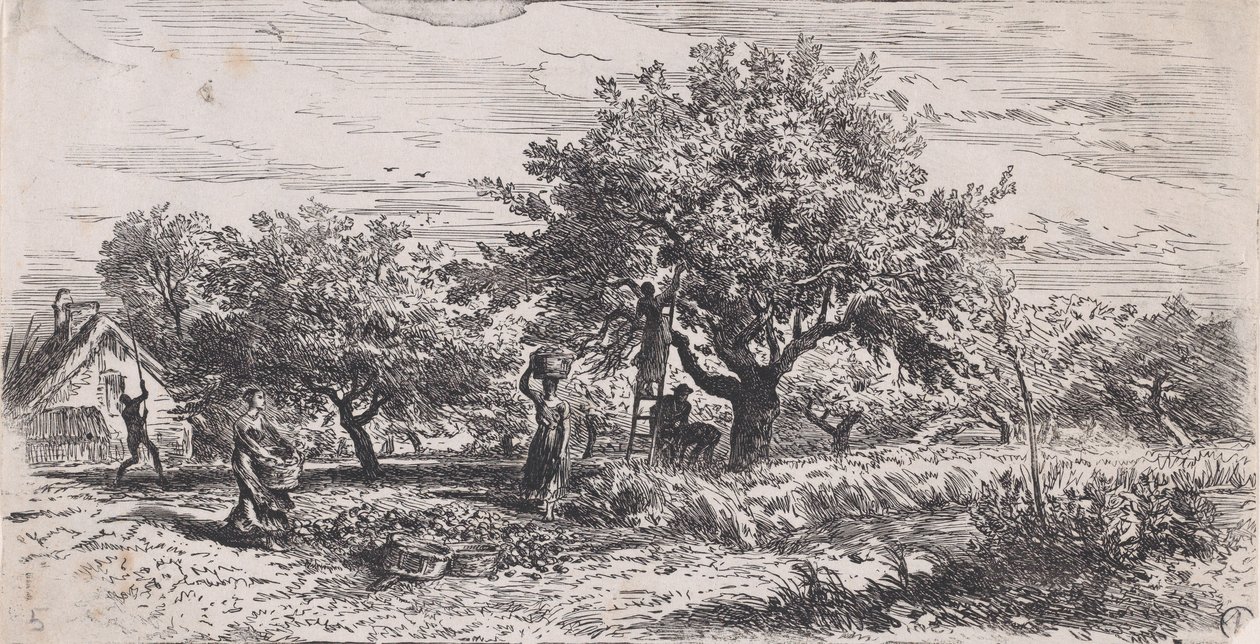 Obst pflücken vom Baum vor dem Häuschen, ca. 1852 von Charles Emile Jacque