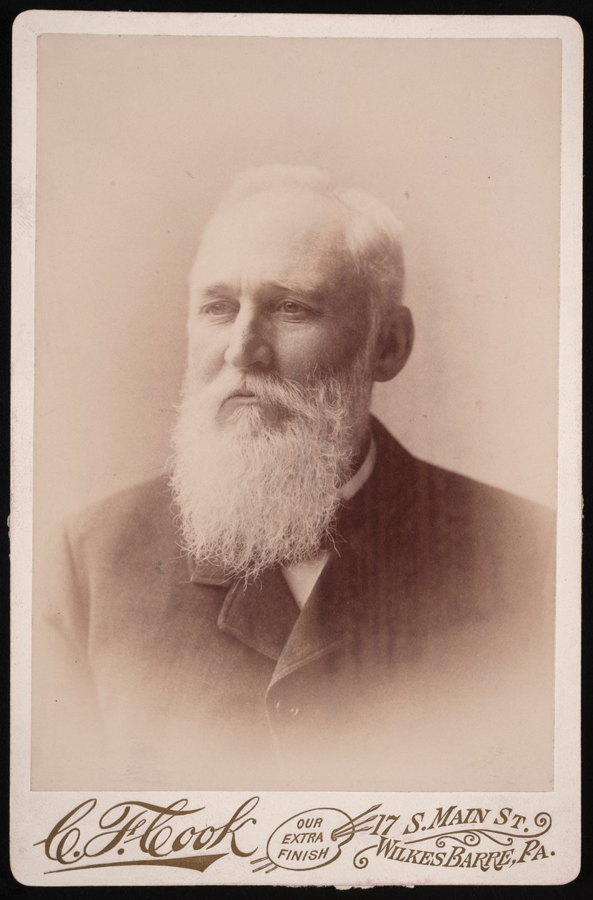 Porträt von Henry Blackman Plumb 1829-1921, vor 1894 von Charles F Cook