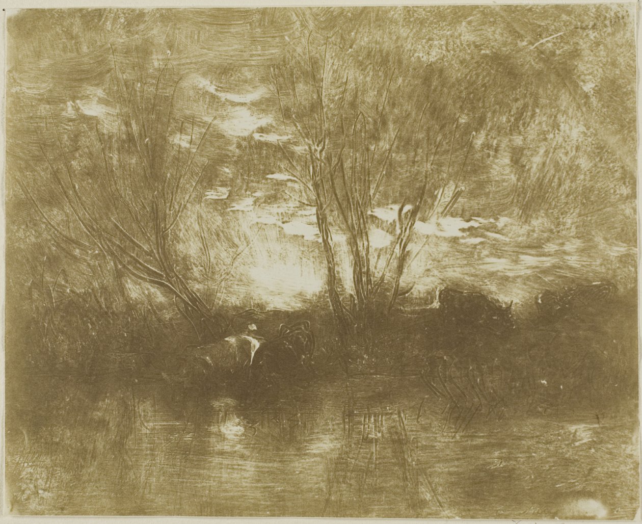 Kühe an der Tränke von Charles Francois Daubigny