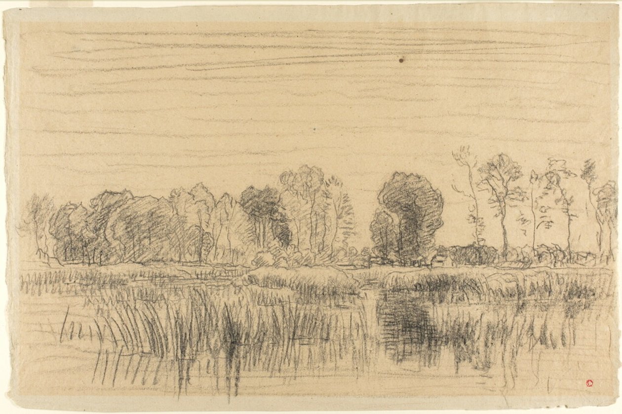 Sumpf und Baumreihe von Charles Francois Daubigny