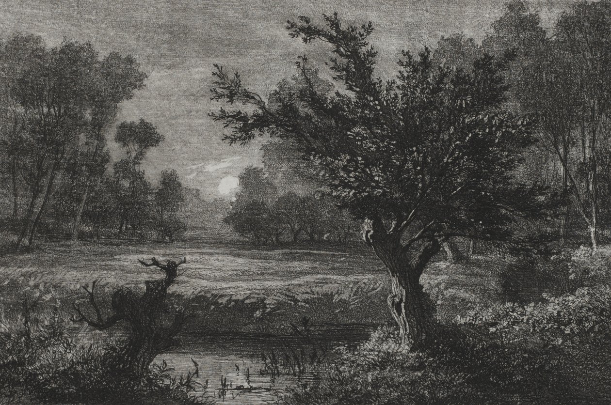 Mondaufgang im Andilly-Tal von Charles Francois Daubigny