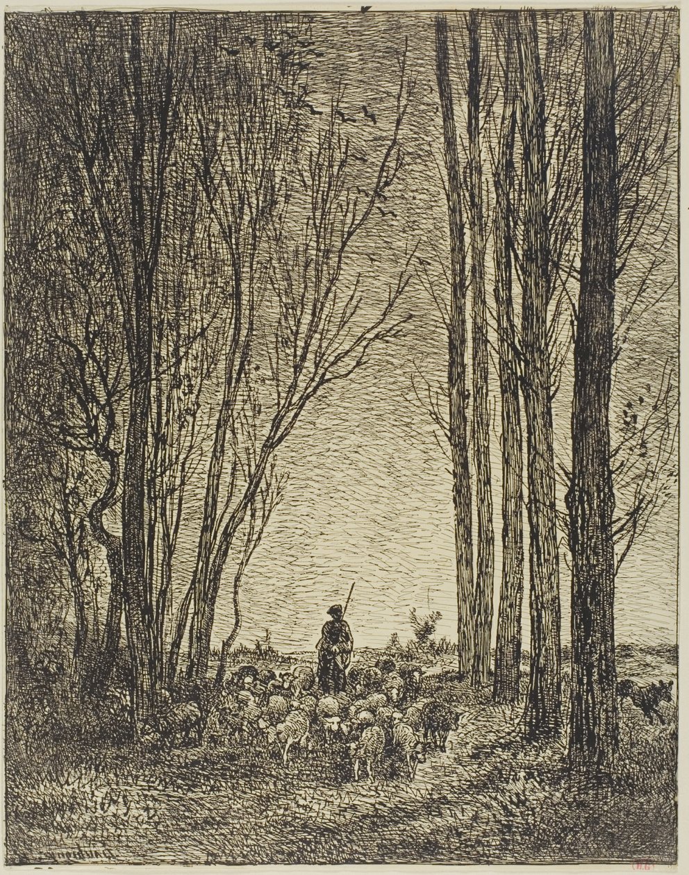 Rückkehr der Herde von Charles Francois Daubigny