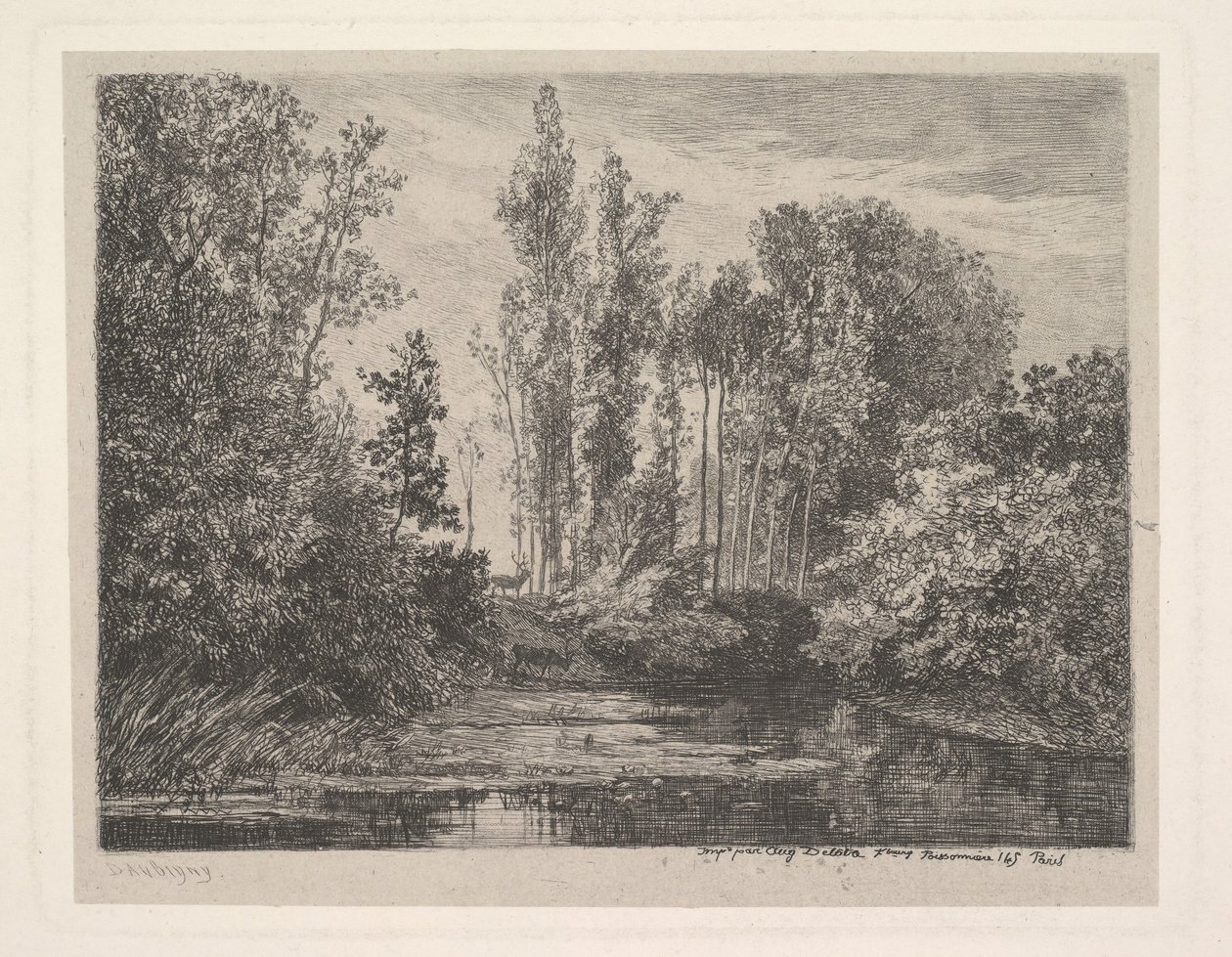 Hirsche am Wasser, 1850 von Charles Francois Daubigny