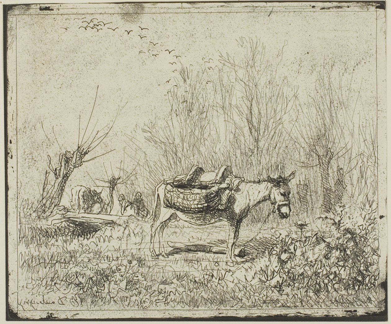 Der Esel auf der Wiese von Charles Francois Daubigny