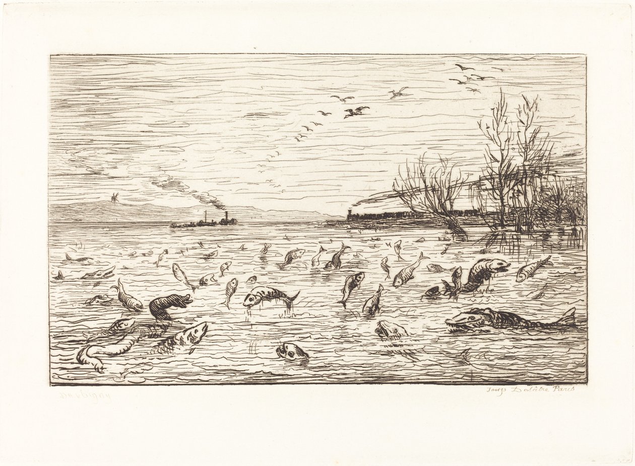 Die Fische freuen sich, wenn der Schiffsjunge geht von Charles Francois Daubigny