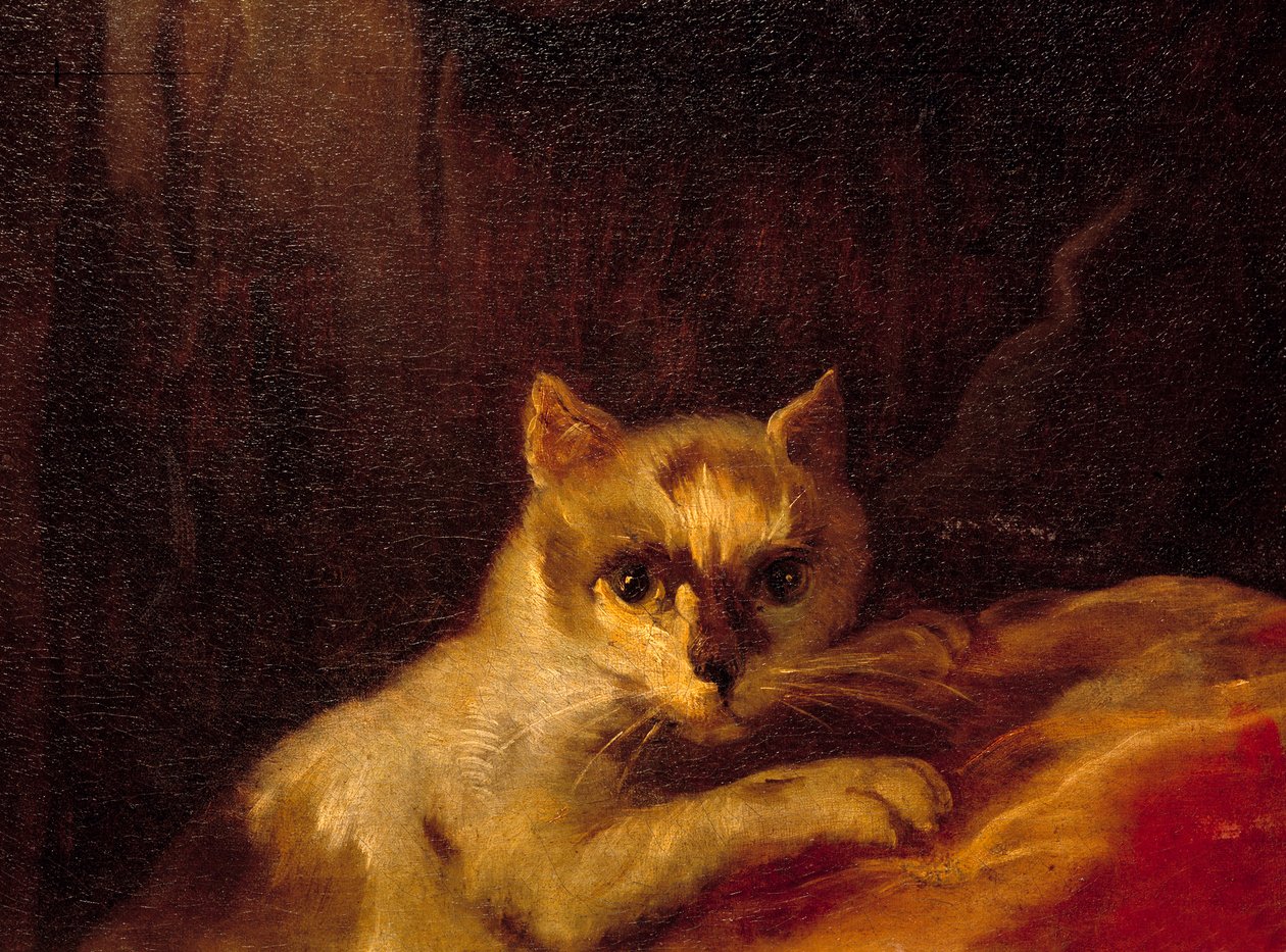 Mademoiselle de Charolais (Detail) von Charles Joseph Natoire