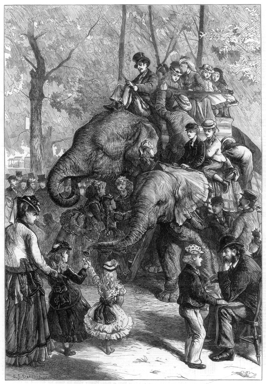 Montagnachmittag in den Gärten der zoologischen Gesellschaft, 1871 von Charles Joseph Staniland