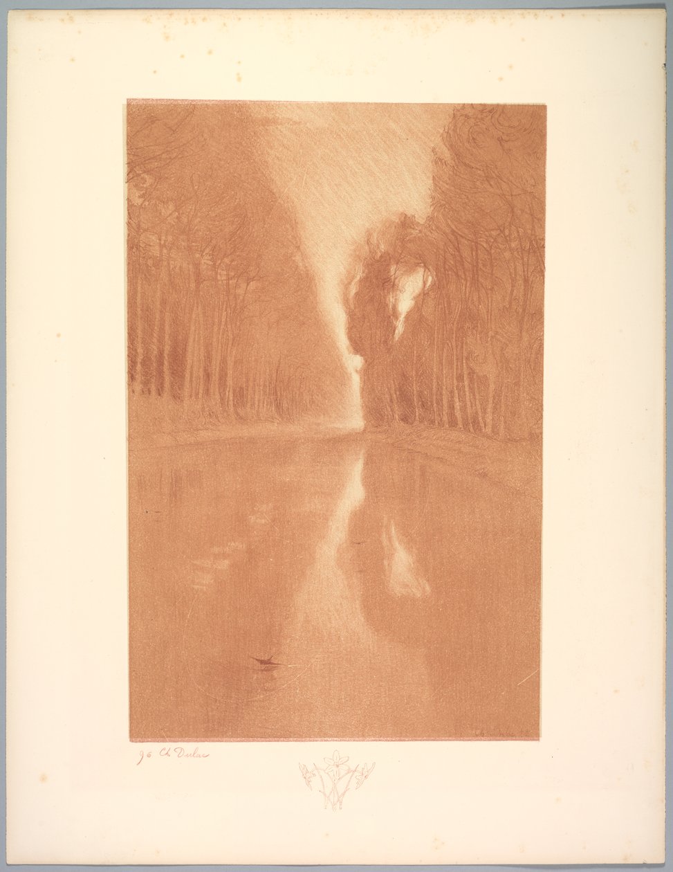 Suite von Landschaften: Landschaft, Platte 2, Remarque, Sternblumen von Charles Marie Dulac