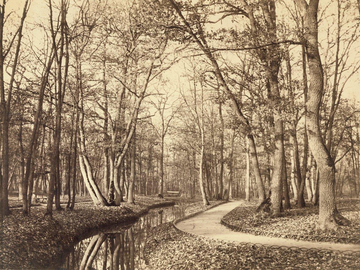 Bois de Boulogne, Paris von Charles Marville