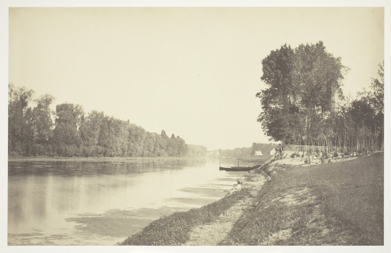 Ohne Titel, ca. 1850. [Bäume in der Nähe von Wasser im Bois de Boulogne, einem Park in Paris] von Charles Marville