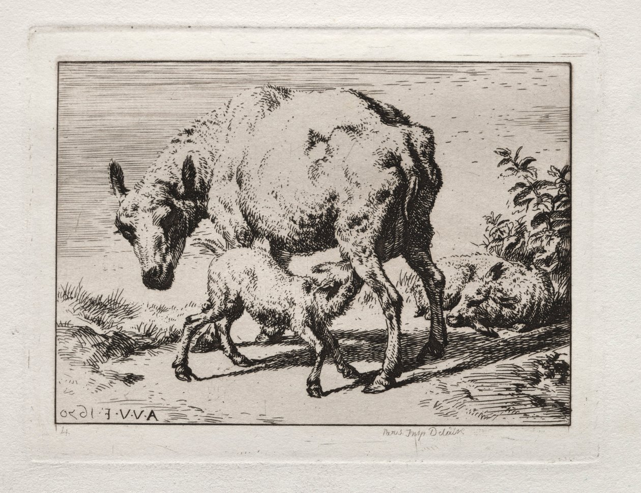Das Mutterschaf mit zwei Lämmern, 1850 von Charles Meryon