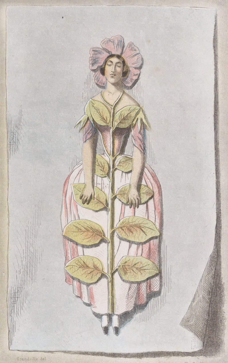 Pervenche Desséchée, aus Les Fleurs Animées, 1847 von Charles Michel Geoffroy